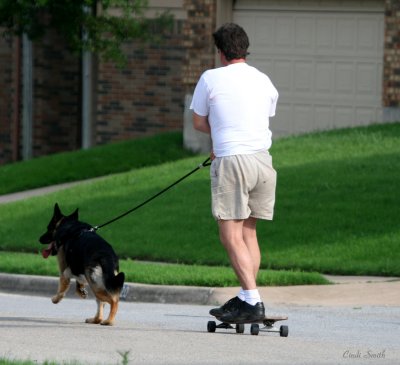 A NEW WAY TO TAKE THE DOG FOR A WALK
