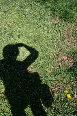 ME AND MY SHADOW