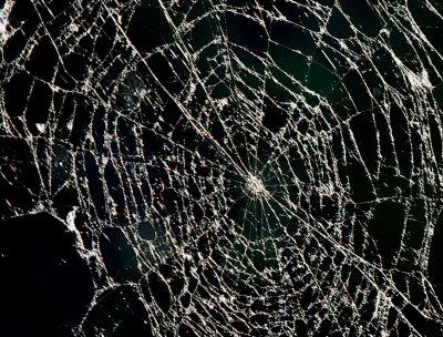 OH,  WHAT A TANGLED WEB WE WEAVE