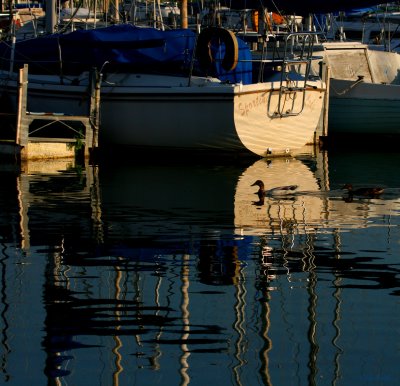 SAILBOAT REFLECTIONS AND A COUPLE OF DUCKS