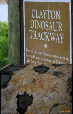 T.I.T.C. - TRACKS - CLAYTON DINOSAUR TRACKWAY