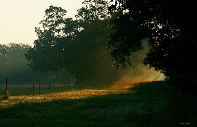 MORNING RAYS