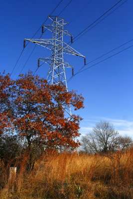 AUTUMN POWER LINES