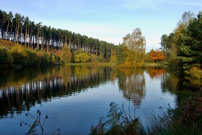 Cannock Chase