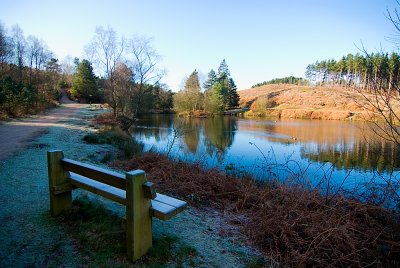 Cannock Chase