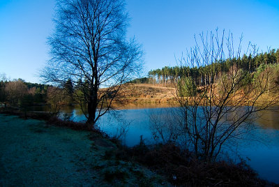 Cannock Chase