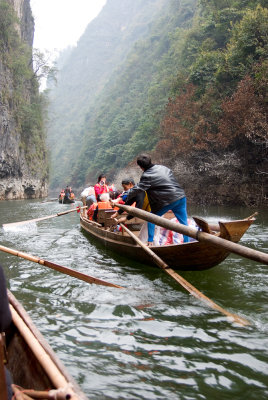 Shennong Stream