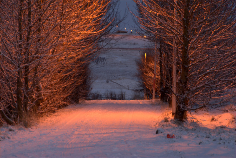 A walk path