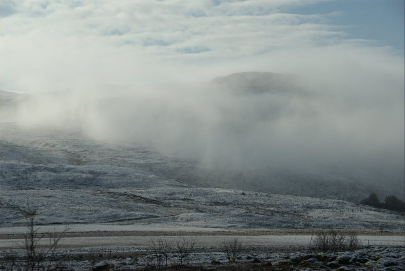 The morning fog