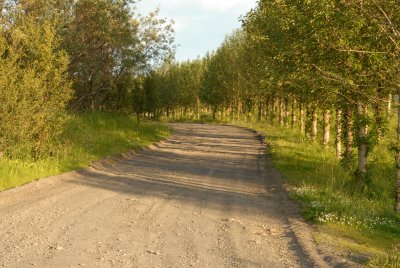 An old road