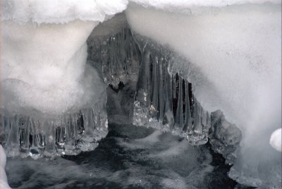 A bunch of icicles