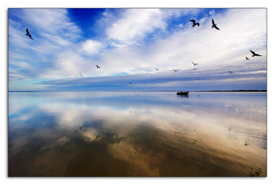 Morning Flight, Lake Albert