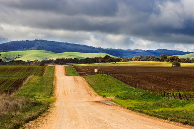 Country Road - Barossa Valley