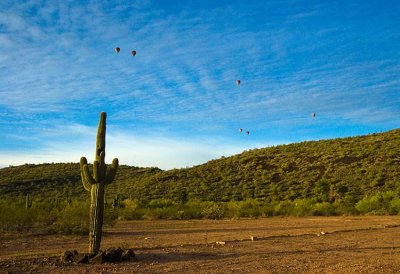 Phoenix 2007