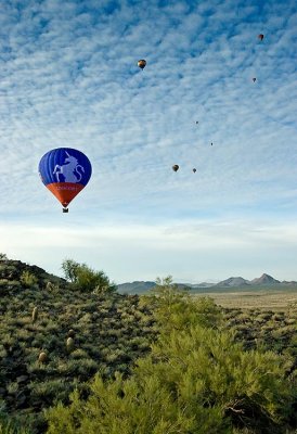 Phoenix 2007