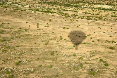 Phoenix 2007