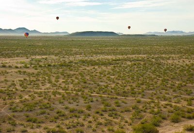 Phoenix 2007