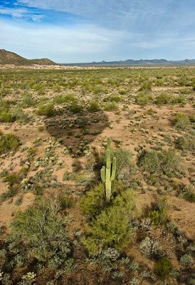 Phoenix 2007