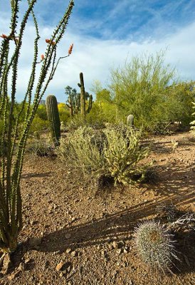 Phoenix 2007