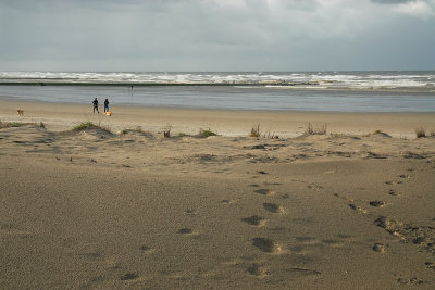 The beach