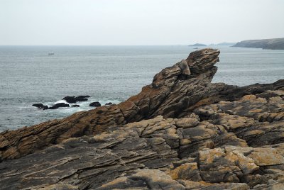 Quiberon - La cte sauvage