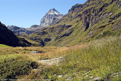 Granta Parei