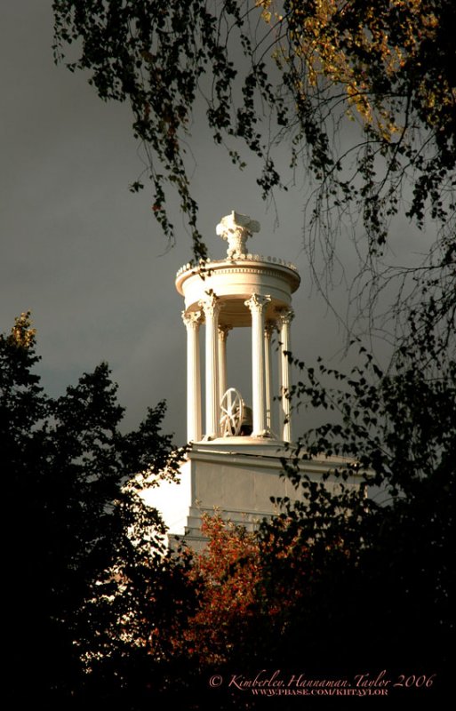 Light Revival