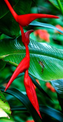 DSC_0010.jpg