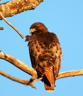 DSC_0321.jpg