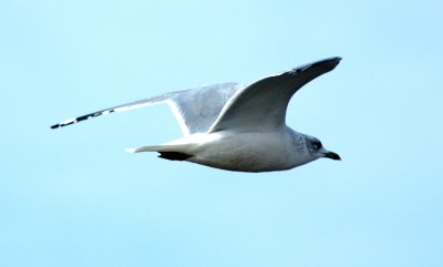 DSC_0407.jpg
