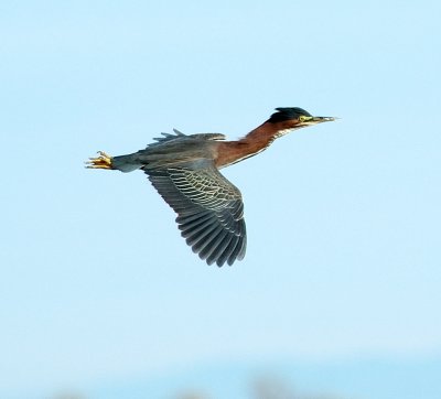 DSC_0428.jpg