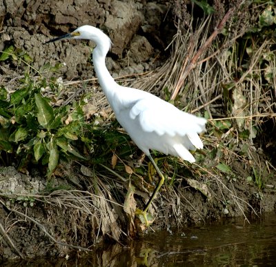DSC_0479.jpg