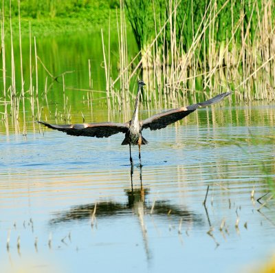 DSC_0171.jpg