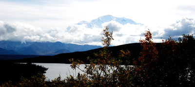 Denali National Park