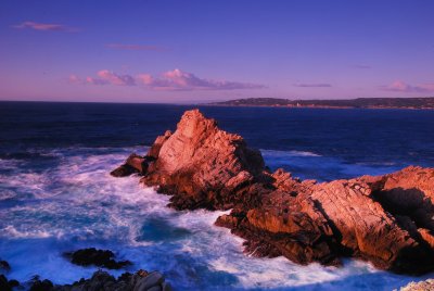 Point Lobos State Park