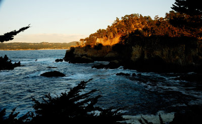 Point Lobos State Park