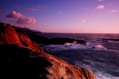 Point Lobos State Park