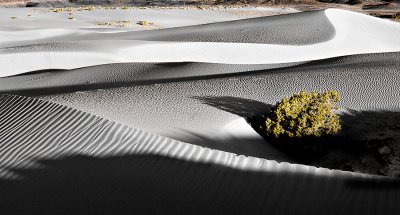 Dunes