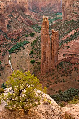 Spider Rock Overlook