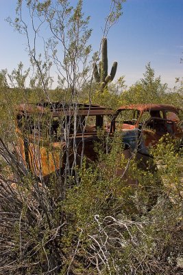 Abandoned Cars