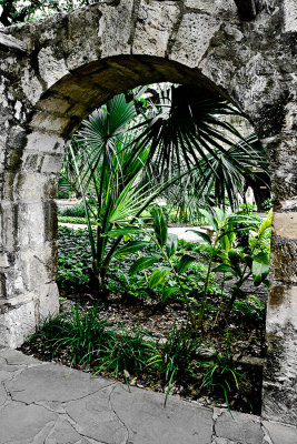 Garden at the Alamo