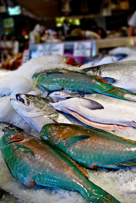 Pikes Place Market Blue Fish