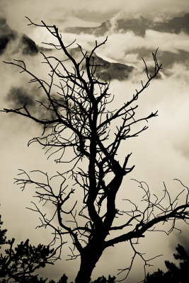 Grand Canyon-Against the Storm