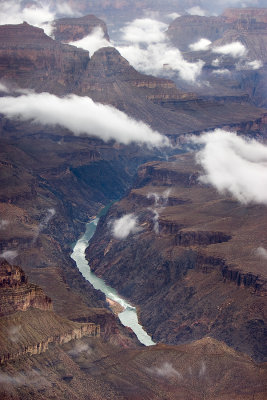 Grand Canyon - River Wild