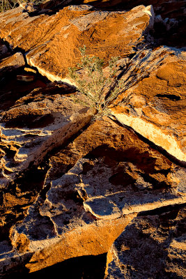 Lake Powell-X Marks the Spot