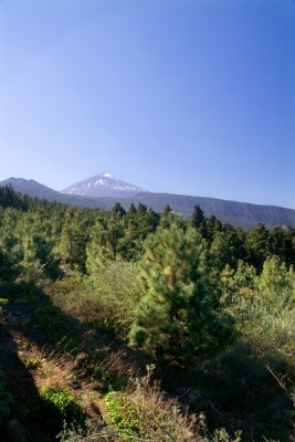 Mount Teide