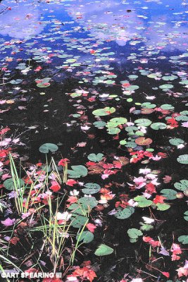 Adirondack Pond Reflection 1