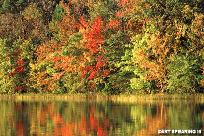 Adirondack Pond Reflection 3