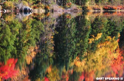 Reflection Above Buttermilk Falls