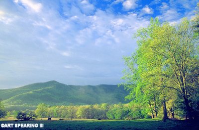 Cades Cove Early Morning